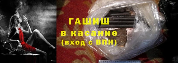 прущие грибы Михайлов