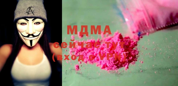 прущие грибы Михайлов