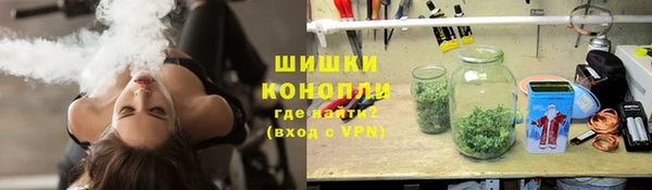 apvp Мегион