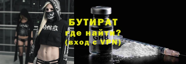 прущие грибы Михайлов