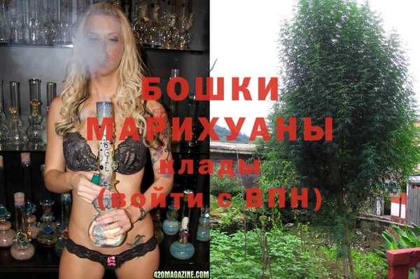apvp Мегион