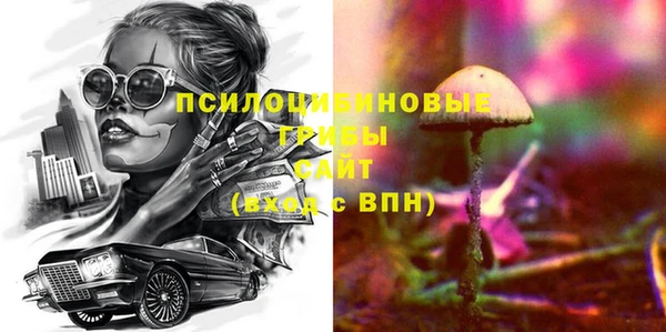 прущие грибы Михайлов