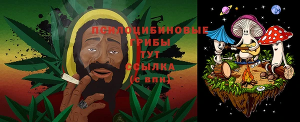 apvp Мегион