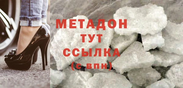 прущие грибы Михайлов